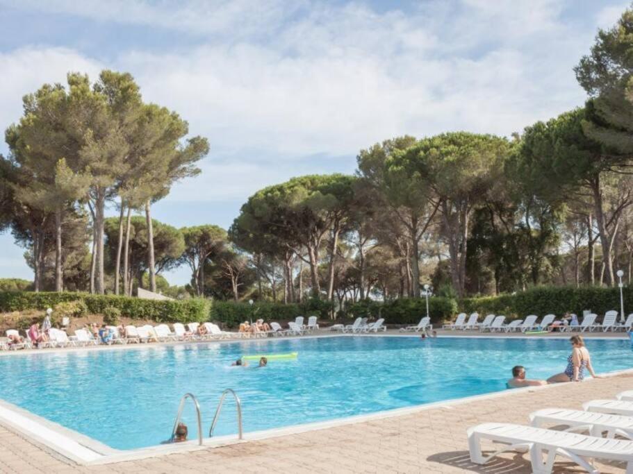 Bel Appartement Vue Sur Piscine 1 Chambre Fermee Et 1 Espace Cabine Saint-Raphaël Kültér fotó