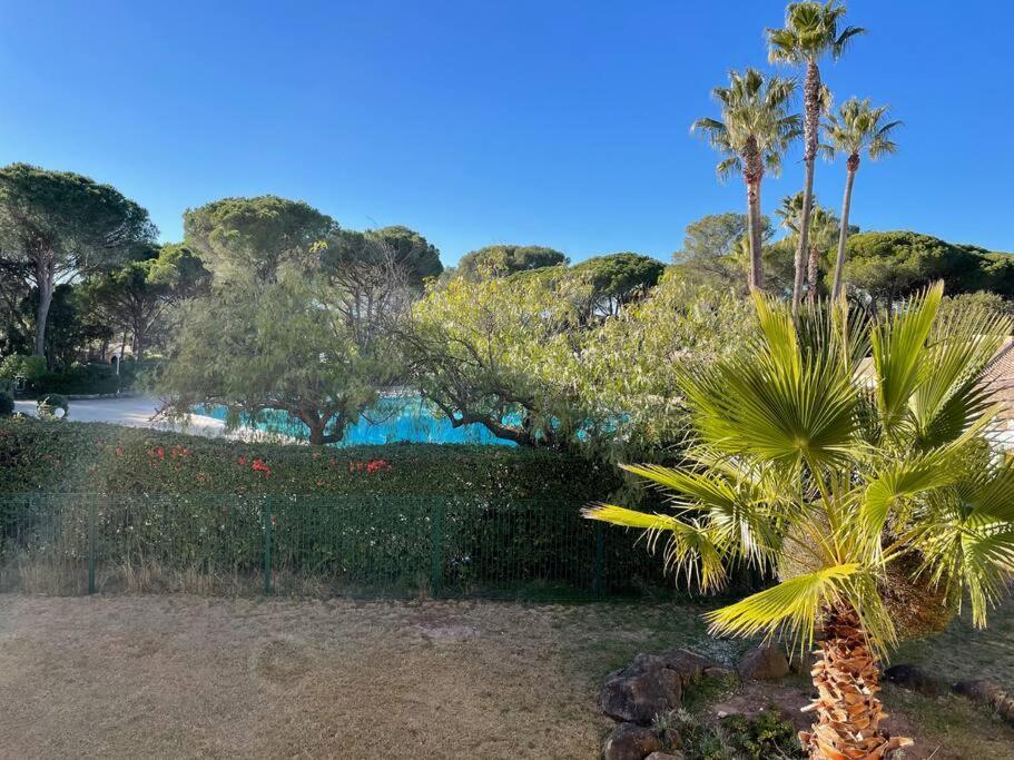 Bel Appartement Vue Sur Piscine 1 Chambre Fermee Et 1 Espace Cabine Saint-Raphaël Kültér fotó